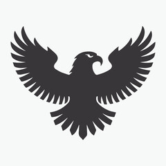A Flying Eagle Silhouette