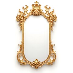 Ornate Gold Rococo Style Decorative Mirror Frame