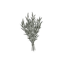 Fototapeta premium Flat vector rosemary bunch illustration 