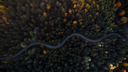 Aerial Drone View of Curvy Road Through Lush Forest