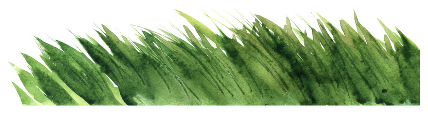Green grass border. Watercolor painting