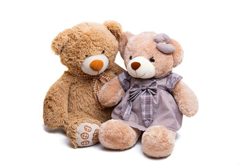 soft toy teddy bear isolated