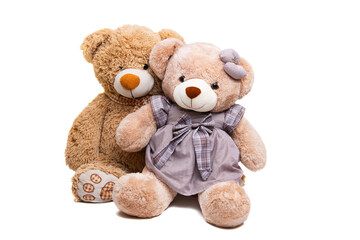 soft toy teddy bear isolated