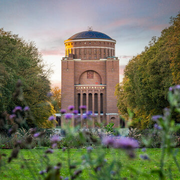 Das Planetarium in Hamburg abends in der goldenen Stunde, Blumen unscharf im Vordergrund, quadratisch, 1:1-Format
