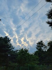 Dramatic Cloudy Sky Above Green Trees at Dusk