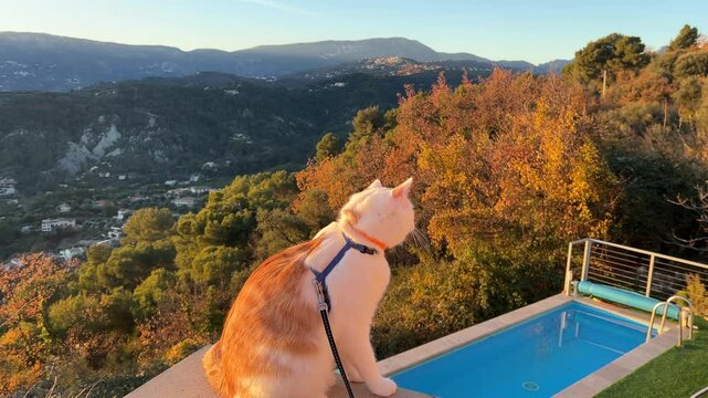 Frankreich im Winter bei Monaco