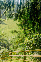 wooden fence in the village in the mountains. summer morning