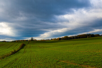 Warmińskie pola 2024