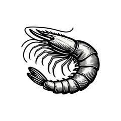 Shrimp silhouette. engrave black icon on white background