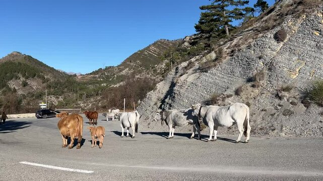 Frankreich im Winter bei Monaco