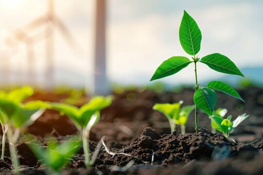 Close-up of young plants in a field with wind turbines, showcases economic benefits of green technology, Show the economic impact of investing in green technology for businesses