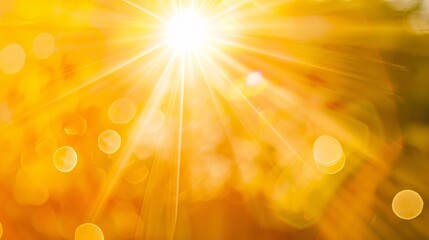 A bright yellow sun is shining through the trees