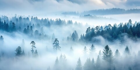 Serene Misty Mountain Forest Landscape with Evergreen Trees