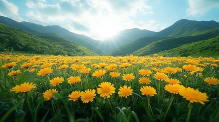 Obraz premium A vast field of vibrant yellow dandelions stretches toward a mountain range under a clear sky with a bright sun beaming down creating a serene and picturesque landscape