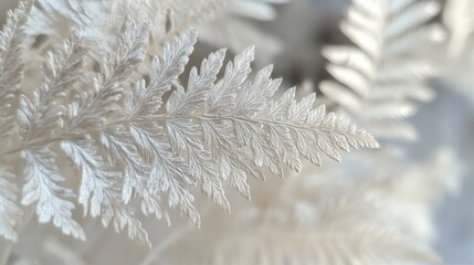 Delicate White Fern Leaf Detail