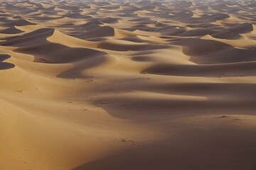 Field of sand formations of Erg Chigaga dune at Sahara desert in southeastern MOROCCO