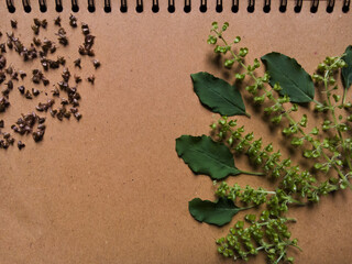 An aesthetic photo of medicinal plants or spices arranged on plain brown note paper, exuding natural simplicity and charm.