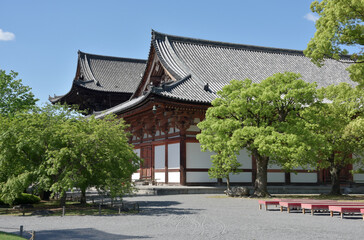 Fototapeta premium 東寺 金堂と講堂 京都市南区
