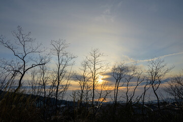 神戸市東灘区渦森台展望公園からの夜明け