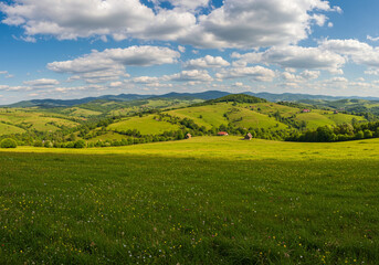 Obraz premium A tranquil scene of a lush green meadow with wildflowers swaying gently in the breeze, set against a backdrop of a picturesque landscape, showcasing a charming village nestled amidst rolling hills