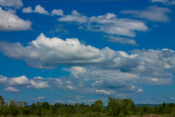 Clouds in the blue sky over the forest. Summer landscape.