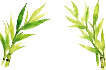 Obraz premium A pair of green bamboo branches, showcasing their slender leaves and vibrant color, ideal for natural and botanical themes.