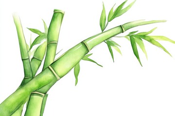 Obraz premium A vibrant illustration of bamboo stalks with green leaves, showcasing nature's beauty and the delicate structure of this resilient plant.
