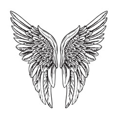 Angel wings or bird. Angel winged glory sketch doodles illustration isolated on white background. Tattoo style image