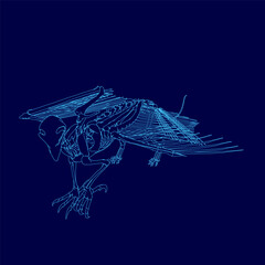 Blue skeleton bird is displayed in a blue background. The skeleton is positioned in the center of the image, with its wings spread out. The blue background creates a sense of depth and contrast