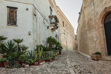 Naklejka premium A street in the historical world heritage city of Matera, Puglia, Italy, la città dei sassi, with potted plants in front of the stone house