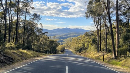 Fototapeta premium Serene Mountain Road Through Lush Forest