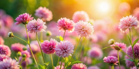 Fototapeta premium Delicate Pale Pink Wildflowers and Foliage - Full Frame Botanical Stock Photo