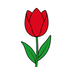Tulip Flower Vector Art Illustration - Flat Minimalist Flower Design