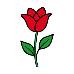 Tulip Flower Vector Art Illustration - Flat Minimalist Flower Design