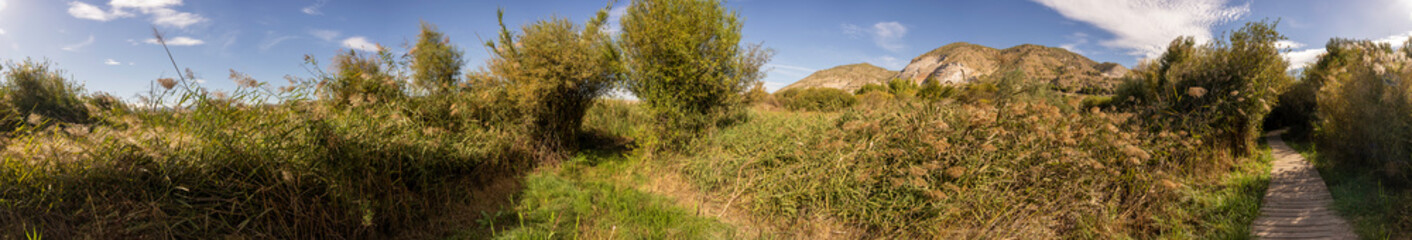 Obraz premium A Serene and Breathtaking Nature Landscape Featuring Majestic Mountains and Lush Green Vegetation