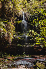 Waterfall in the rain forest in Grand Canyon, Blue Mountains, Australia