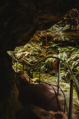 Path in Grand Canyon, Blue Mountains, Australia