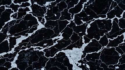 Fototapeta premium black and white veined granite marble, emphasizing natural patterns and texture
