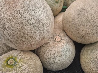 melons at the market