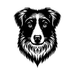 Fototapeta premium black and white dog