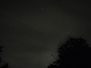 Night Sky with Stars and Silhouetted Tree Under Dark Ambient Light