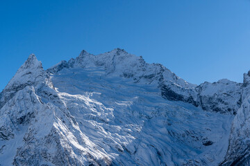 Obraz premium Snowy peaks and glaciers cover giant rocks. Pine and spruce forests grow at foot of mountains. which Majestic mountains against blue sky. Sunny day. Autumn 2024. Karachay-Cherkessia. Dombay.