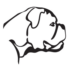 Boxer Dog Head Side View Isolated Vector Line Art