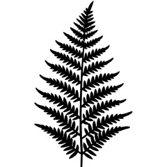 Fern Silhouette Line Art Creations