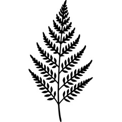 Fern Silhouette Line Art Creations