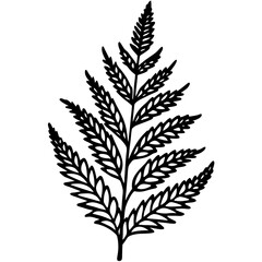 Fern Silhouette Line Art Creations