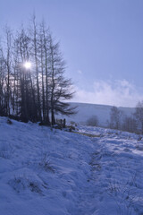 A serene snowy moorland with sunlight peeking through frosted trees creates a tranquil winter scene. This breathtaking view captures the harmony of untouched nature and the warmth of sunlit snow