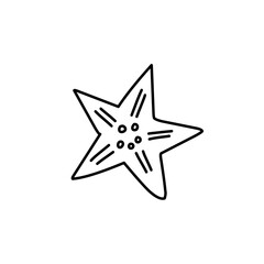 hand drawn starfish icon