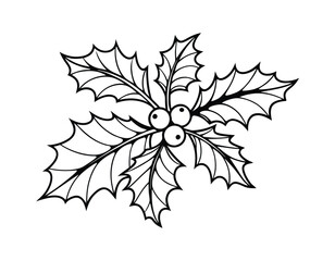 intricate sketch of holly leaves and berries, suitable for holiday invitations, christmas decorations, and winter-themed illustrations.