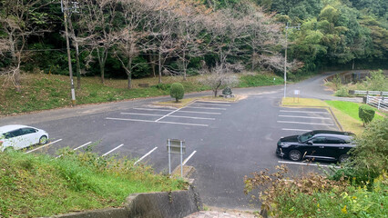 自然豊かな鱒渕公園